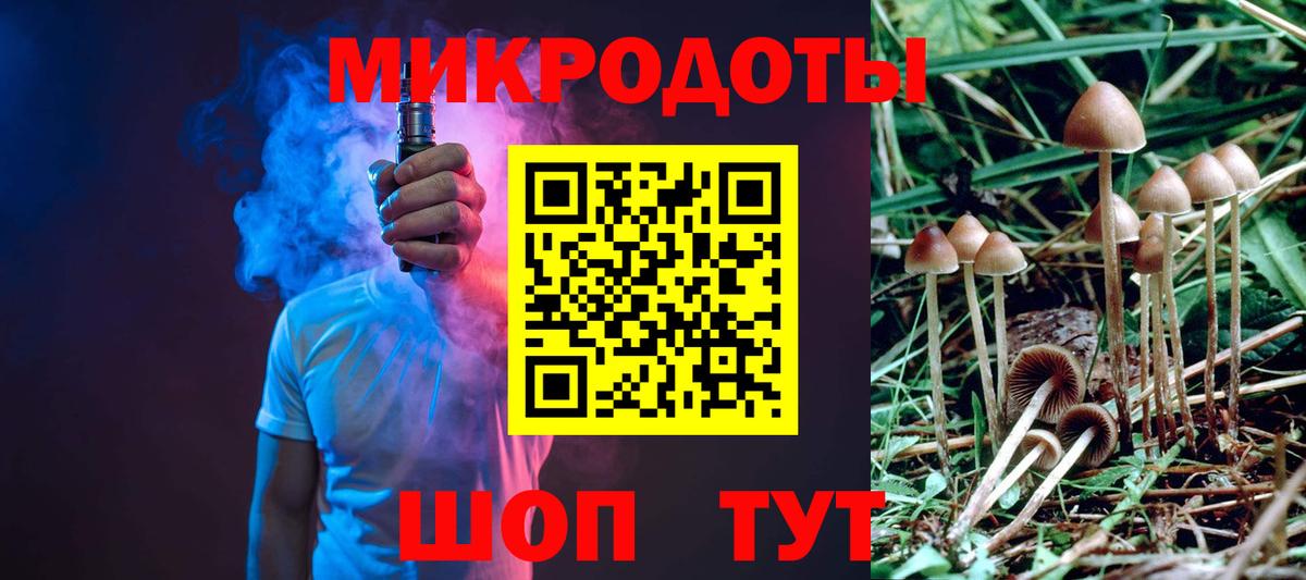 Псилоцибиновые грибы Psilocybe Волжск