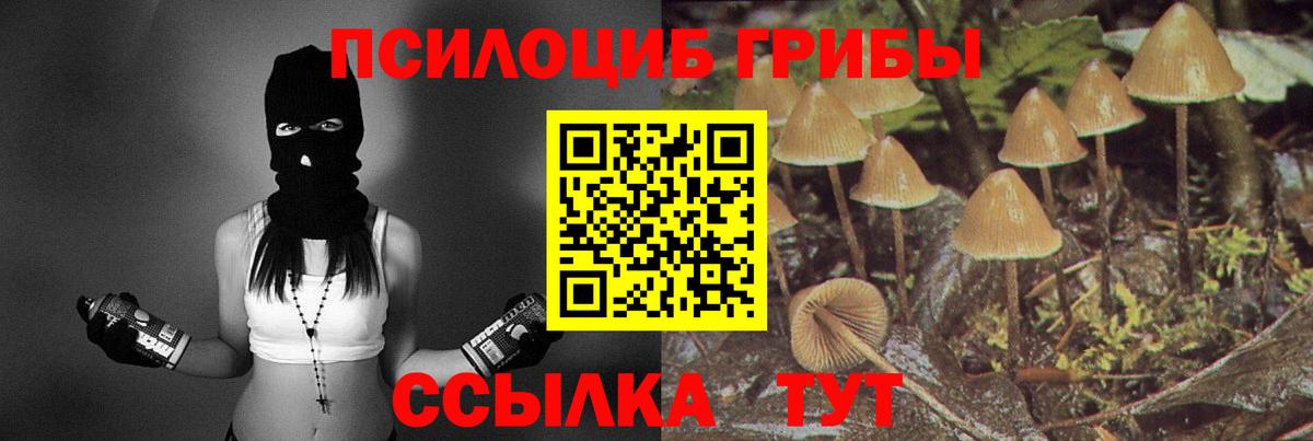 Волжск  Галлюциногенные грибы мицелий  Вход с VPN  Псилоцибиновые грибы мухоморы 